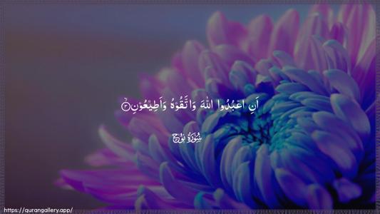 Nooh Ayah 3 - Arabic (Wide) wallpaper