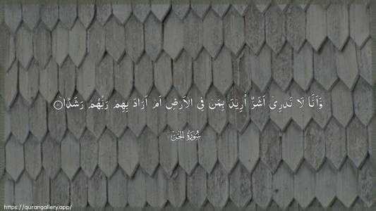 Al-Jinn Ayah 10 - Arabic (Wide) wallpaper