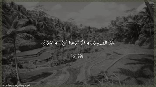 Al-Jinn Ayah 18 - Arabic (Wide) wallpaper