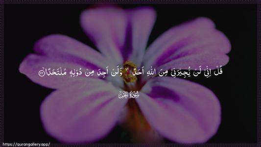 Al-Jinn Ayah 22 - Arabic (Wide) wallpaper