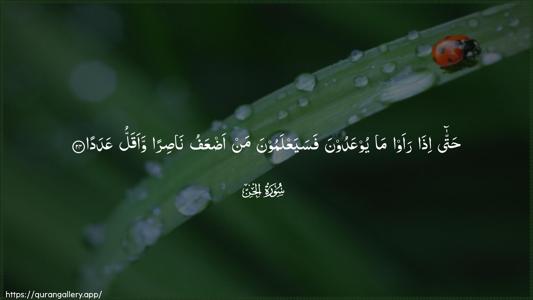 Al-Jinn Ayah 24 - Arabic (Wide) wallpaper