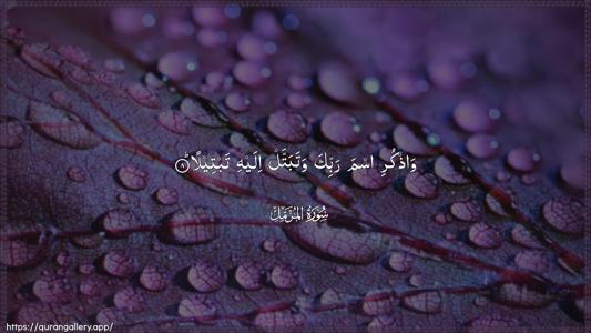 Al-Muzzammil Ayah 8 - Arabic (Wide) wallpaper