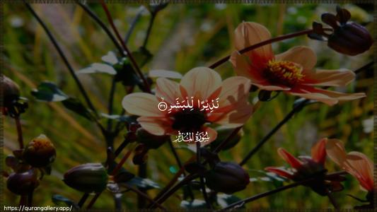 Al-Muddaththir Ayah 36 - Arabic (Wide) wallpaper