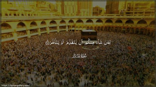 Al-Muddaththir Ayah 37 - Arabic (Wide) wallpaper