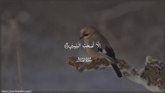 Al-Muddaththir Ayah 39 - Arabic (Wide) wallpaper