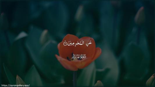 Al-Muddaththir Ayah 41 - Arabic (Wide) wallpaper