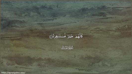 Al-Muddaththir Ayah 50 - Arabic (Wide) wallpaper