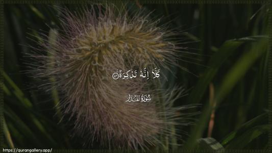 Al-Muddaththir Ayah 54 - Arabic (Wide) wallpaper