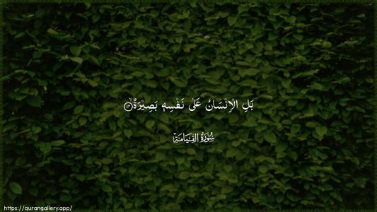 Al-Qiyaama Ayah 14 - Arabic (Wide) wallpaper