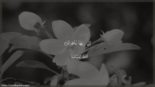 Al-Qiyaama Ayah 23 - Arabic (Wide) wallpaper