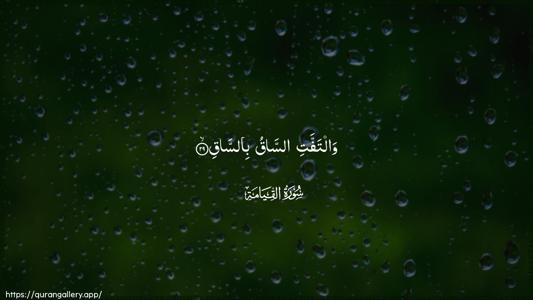 Al-Qiyaama Ayah 29 - Arabic (Wide) wallpaper