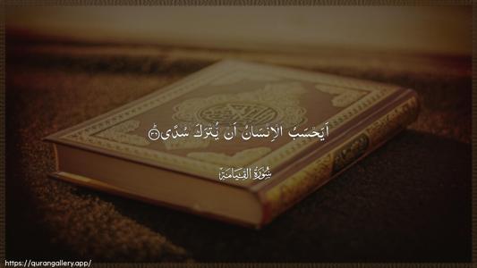 Al-Qiyaama Ayah 36 - Arabic (Wide) wallpaper