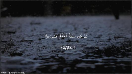 Al-Qiyaama Ayah 38 - Arabic (Wide) wallpaper