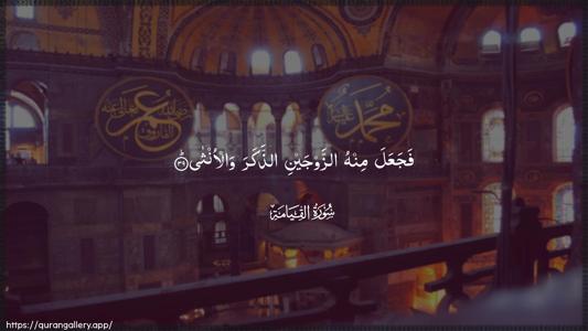 Al-Qiyaama Ayah 39 - Arabic (Wide) wallpaper