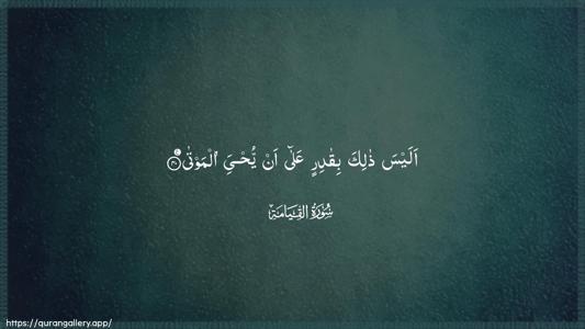 Al-Qiyaama Ayah 40 - Arabic (Wide) wallpaper