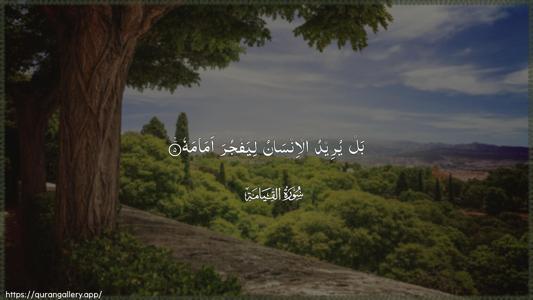 Al-Qiyaama Ayah 5 - Arabic (Wide) wallpaper