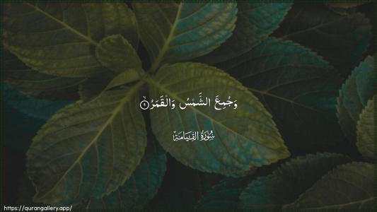 Al-Qiyaama Ayah 9 - Arabic (Wide) wallpaper