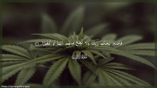 Al-Insaan Ayah 24 - Arabic (Wide) wallpaper