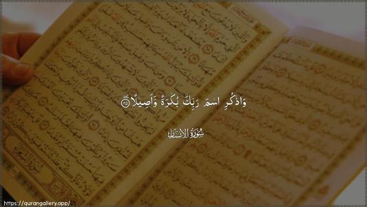 Al-Insaan Ayah 25 - Arabic (Wide) wallpaper