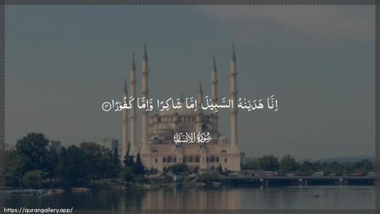 Al-Insaan Ayah 3 - Arabic (Wide) wallpaper