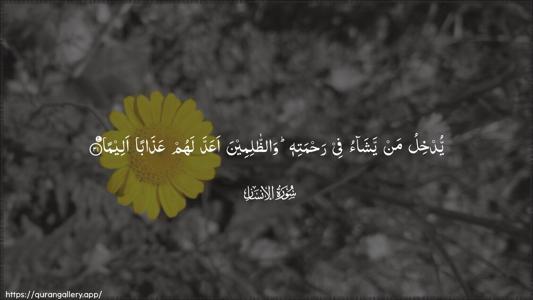 Al-Insaan Ayah 31 - Arabic (Wide) wallpaper