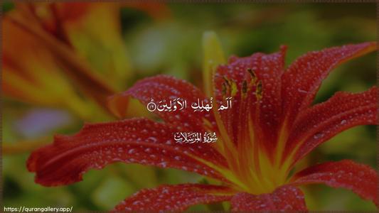 Al-Mursalaat Ayah 16 - Arabic (Wide) wallpaper