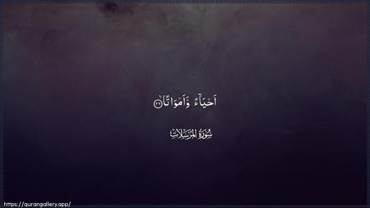 Al-Mursalaat Ayah 26 - Arabic (Wide) wallpaper