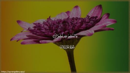 Al-Mursalaat Ayah 3 - Arabic (Wide) wallpaper