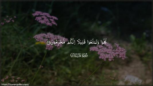 Al-Mursalaat Ayah 46 - Arabic (Wide) wallpaper