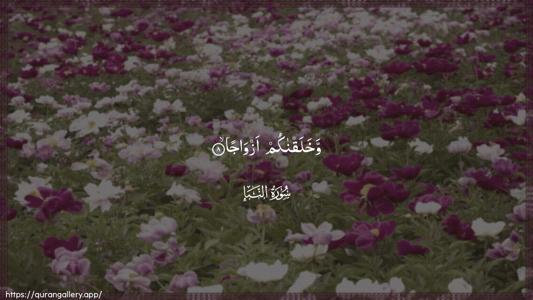 An-Naba Ayah 8 - Arabic (Wide) wallpaper