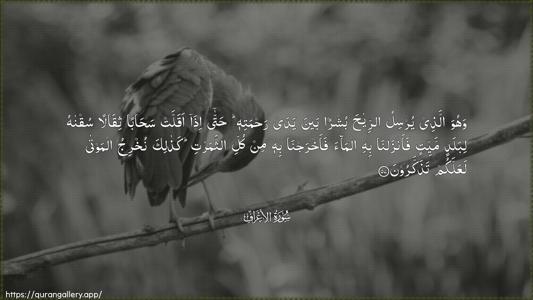 Al-A"raaf Ayah 57 - Arabic (Wide) wallpaper