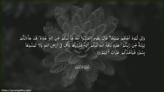 Al-A"raaf Ayah 73 - Arabic (Wide) wallpaper