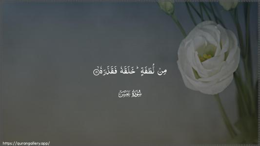 Abasa Ayah 19 - Arabic (Wide) wallpaper