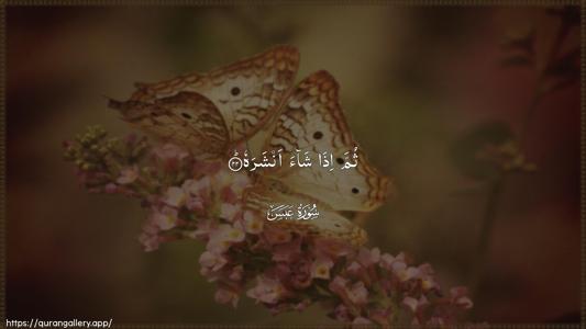 Abasa Ayah 22 - Arabic (Wide) wallpaper