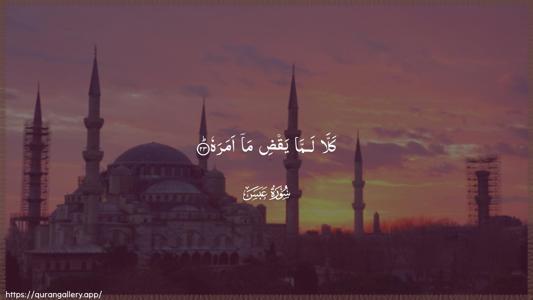 Abasa Ayah 23 - Arabic (Wide) wallpaper