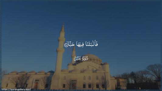 Abasa Ayah 27 - Arabic (Wide) wallpaper