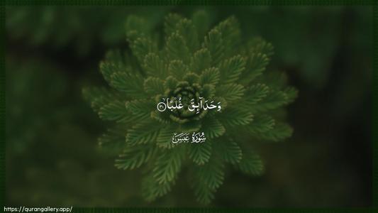 Abasa Ayah 30 - Arabic (Wide) wallpaper
