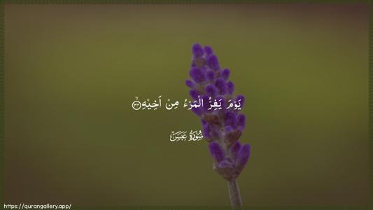 Abasa Ayah 34 - Arabic (Wide) wallpaper