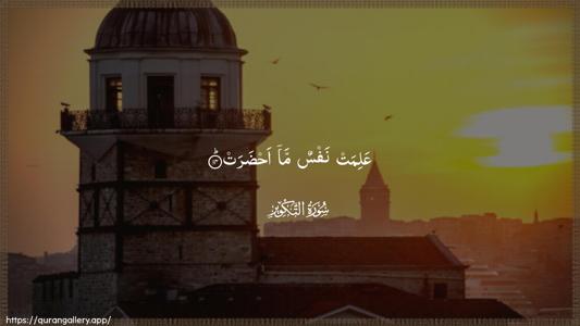 At-Takwir Ayah 14 - Arabic (Wide) wallpaper