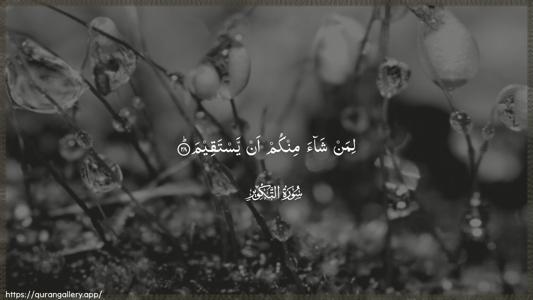 At-Takwir Ayah 28 - Arabic (Wide) wallpaper