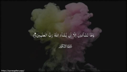 At-Takwir Ayah 29 - Arabic (Wide) wallpaper