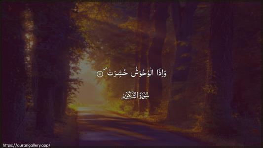 At-Takwir Ayah 5 - Arabic (Wide) wallpaper