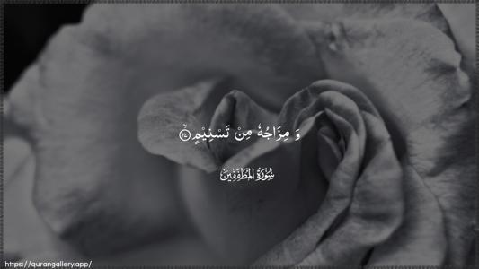 Al-Mutaffifin Ayah 27 - Arabic (Wide) wallpaper