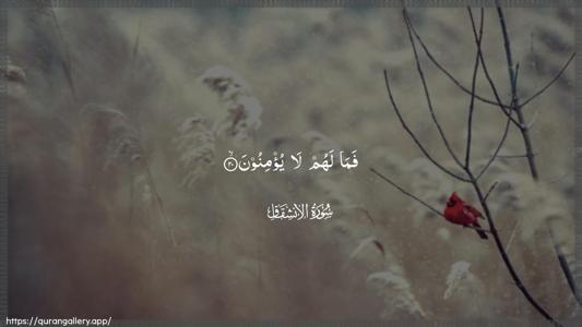 Al-Inshiqaaq Ayah 20 - Arabic (Wide) wallpaper