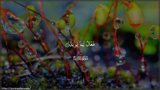 Al-Burooj Ayah 16 - Arabic (Wide) wallpaper