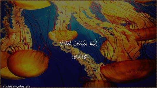 At-Taariq Ayah 15 - Arabic (Wide) wallpaper