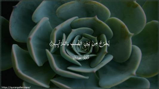 At-Taariq Ayah 7 - Arabic (Wide) wallpaper