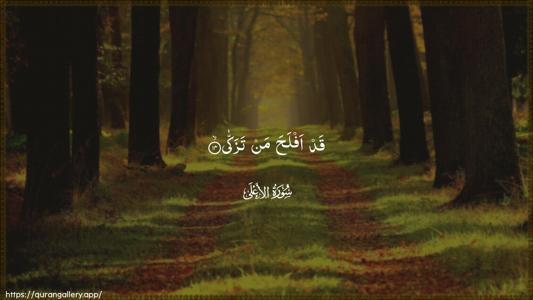 Al-A"laa Ayah 14 - Arabic (Wide) wallpaper