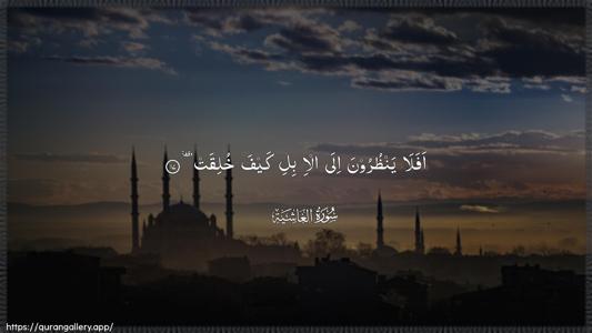 Al-Ghaashiya Ayah 17 - Arabic (Wide) wallpaper