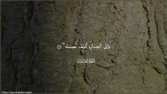 Al-Ghaashiya Ayah 19 - Arabic (Wide) wallpaper
